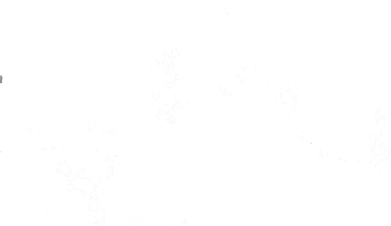 Manitonga bear